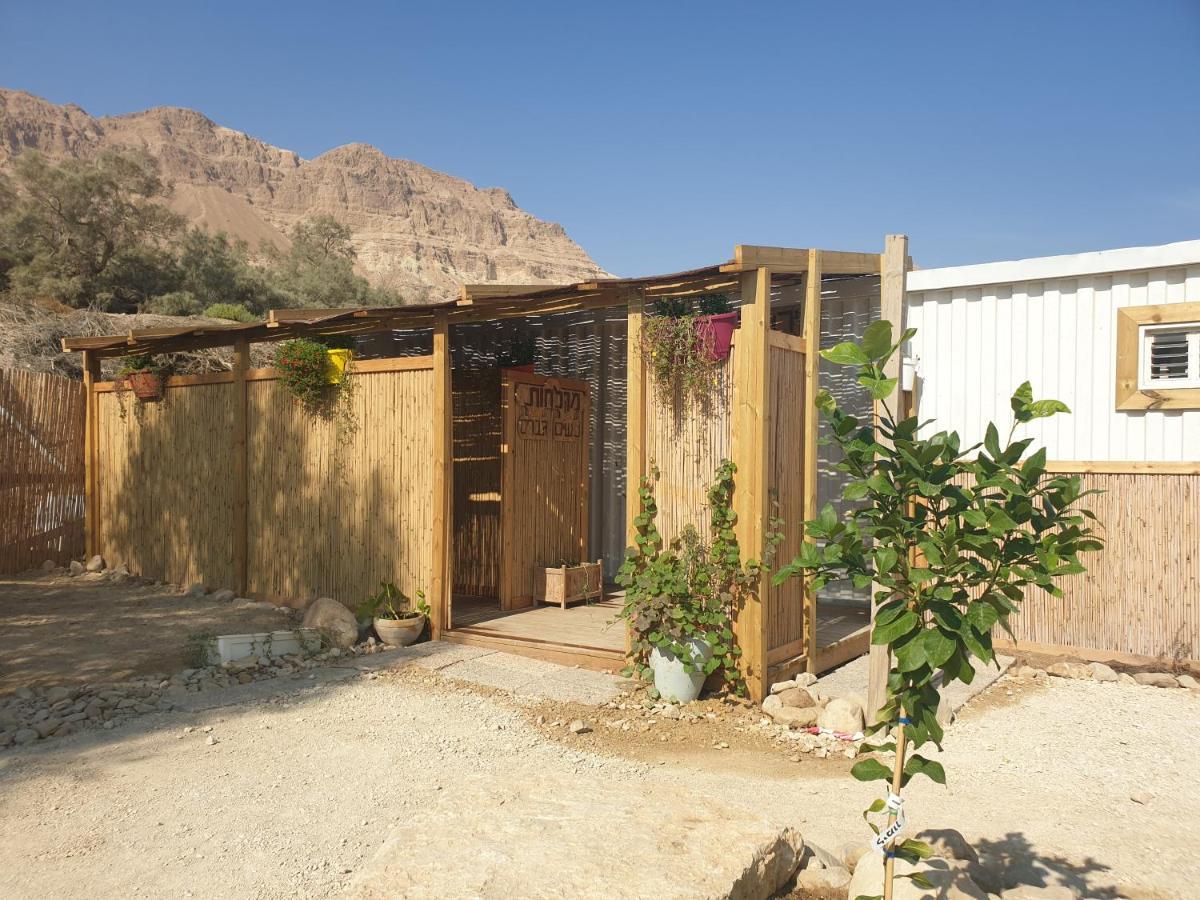 Badolina Ein Gedi Glamping Hotel Kültér fotó