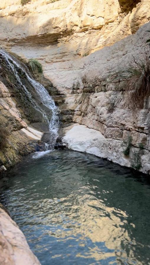 Badolina Ein Gedi Glamping Hotel Kültér fotó
