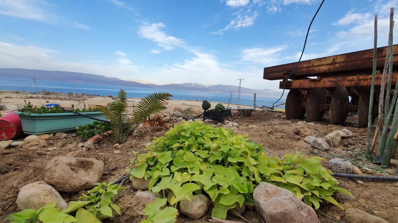 Badolina Ein Gedi Glamping Hotel Kültér fotó